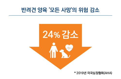 반려견 양육 모든 사망의 위험 감소 - 2019년 미국심장혁회(AHA)