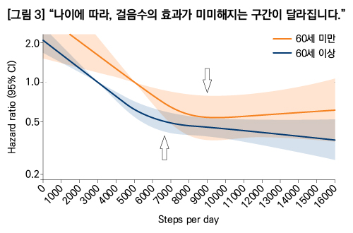 나이에 따라, 걸음수의 효과가 미미해지는 구간이 달라집니다.