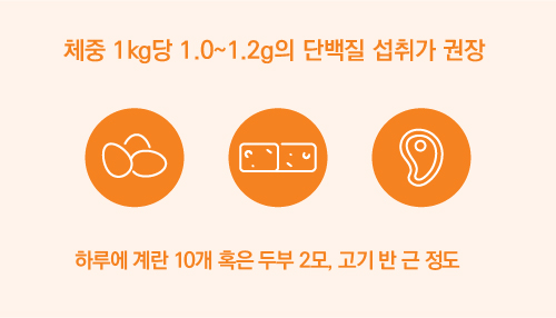 체중 1kg당 1.0~1.2g의 단백질 섭취가 권장